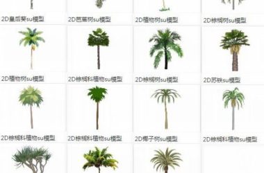 Sketchup素材模型|2D棕榈科植物树芭蕉树-BIM建筑网