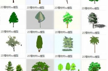 Sketchup素材模型|2D植物树景观素材组件-BIM建筑网