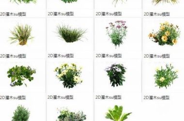 Sketchup素材模型|2d植物灌木,景观素材组件-BIM建筑网