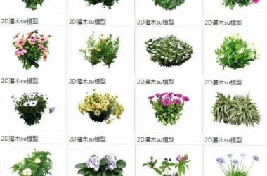 Sketchup素材模型|灌木,2d植物,景观素材组件-BIM建筑网