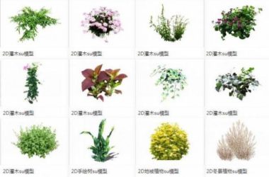 Sketchup素材模型|灌木,地被植物,2d景观素材组件-BIM建筑网