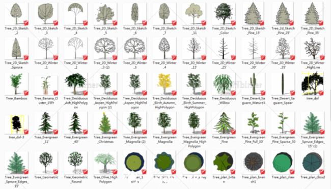 Sketchup素材模型|景观植物模型素材组件 Sketchup素材模型|景观植物模型素材组件