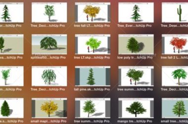 Sketchup素材模型|景观植物树模型组件素材-BIM建筑网