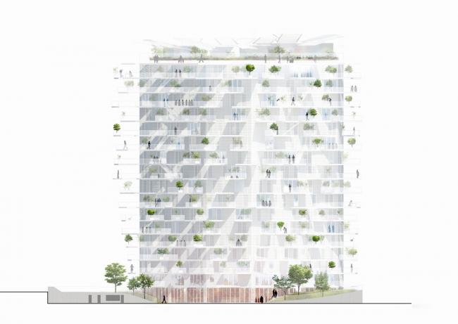 BIM建筑|枝叶四散,挺立耸立的白色树塔公寓 / 藤本壮介等 BIM建筑|枝叶四散,挺立耸立的白色树塔公寓 / 藤本壮介等