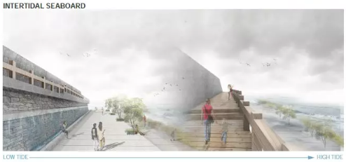 BIM建筑|经验|“爱折腾”少女横冲直撞重返哈佛之路 BIM建筑|经验|“爱折腾”少女横冲直撞重返哈佛之路