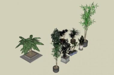 Sketchup素材模型|陶罐花钵植物,素材组件-BIM建筑网