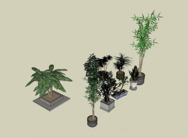 Sketchup素材模型|陶罐花钵植物,素材组件 Sketchup素材模型|陶罐花钵植物,素材组件