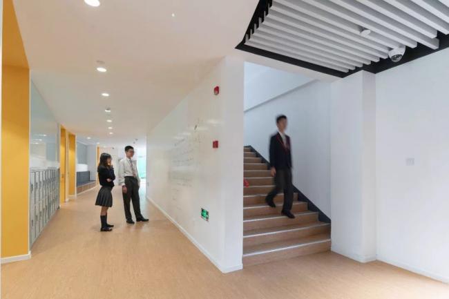 BIM建筑|循典而新,天然悦动——英国莱克顿国际黉舍上海分校 / Eva Architects BIM建筑|循典而新,天然悦动——英国莱克顿国际黉舍上海分校 / Eva Architects
