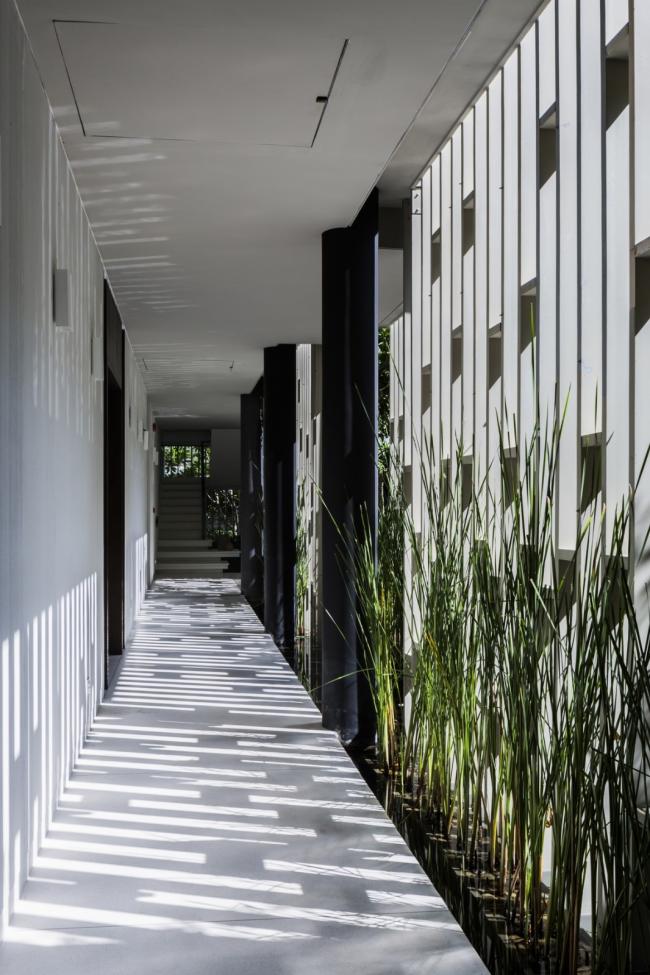 BIM建筑|千寻丛林瀑布倾注而下的光影空间:Naman 温泉会所 / MIA Design Studio BIM建筑|千寻丛林瀑布倾注而下的光影空间:Naman 温泉会所 / MIA Design Studio