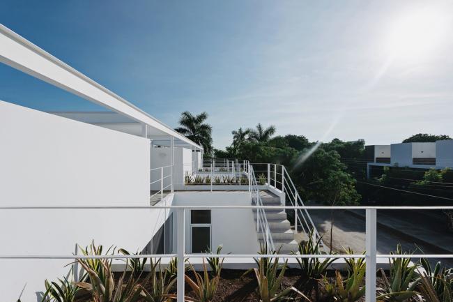 BIM建筑|索纳塔室第,应用楼梯打造交叉的公共及私家空间 / Arkham Projects BIM建筑|索纳塔室第,应用楼梯打造交叉的公共及私家空间 / Arkham Projects