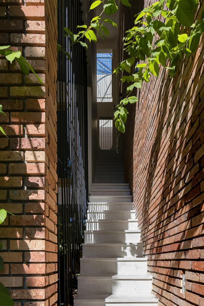 BIM建筑|空间嵌套,会呼吸的热带室第 / IZ Architects BIM建筑|空间嵌套,会呼吸的热带室第 / IZ Architects