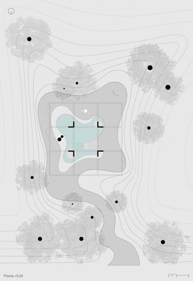 BIM建筑|与年夜树枝桠握手,混凝土打造的朴实之家 / Estudio Botteri-Connell BIM建筑|与年夜树枝桠握手,混凝土打造的朴实之家 / Estudio Botteri-Connell