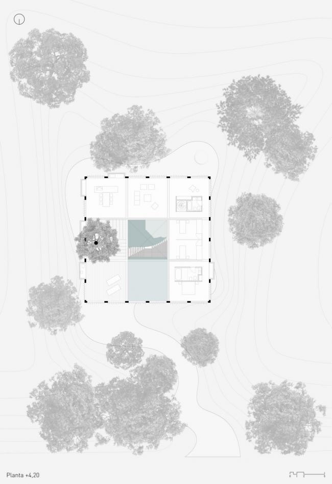 BIM建筑|与年夜树枝桠握手,混凝土打造的朴实之家 / Estudio Botteri-Connell BIM建筑|与年夜树枝桠握手,混凝土打造的朴实之家 / Estudio Botteri-Connell