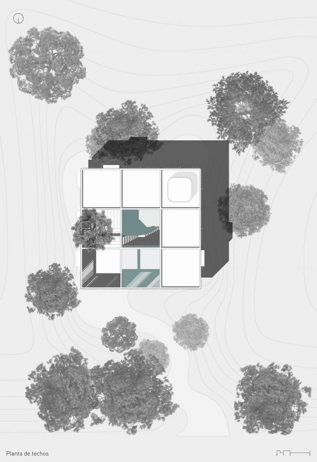 BIM建筑|与年夜树枝桠握手,混凝土打造的朴实之家 / Estudio Botteri-Connell BIM建筑|与年夜树枝桠握手,混凝土打造的朴实之家 / Estudio Botteri-Connell