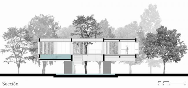 BIM建筑|与年夜树枝桠握手,混凝土打造的朴实之家 / Estudio Botteri-Connell BIM建筑|与年夜树枝桠握手,混凝土打造的朴实之家 / Estudio Botteri-Connell