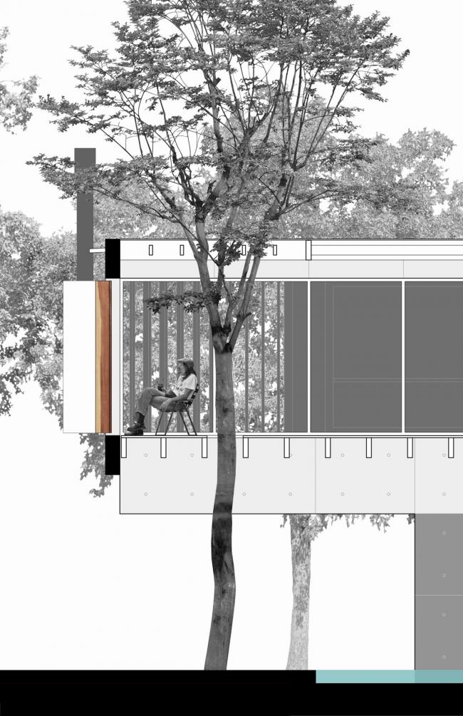BIM建筑|与年夜树枝桠握手,混凝土打造的朴实之家 / Estudio Botteri-Connell BIM建筑|与年夜树枝桠握手,混凝土打造的朴实之家 / Estudio Botteri-Connell