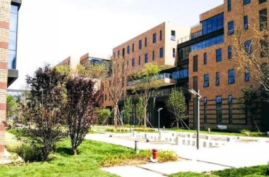 BIM与装配式|重庆打造装配式建筑基地:像拼乐高一样盖楼-BIM建筑网