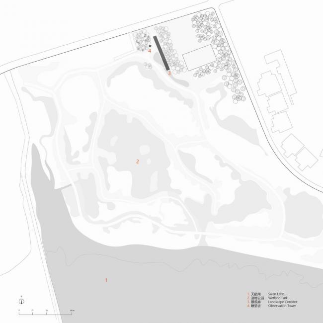 BIM建筑|天鹅湖湿地公园景不雅廊及不雅鸟塔 / 迹·建筑事务所 BIM建筑|天鹅湖湿地公园景不雅廊及不雅鸟塔 / 迹·建筑事务所