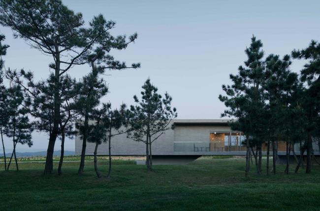 BIM建筑|天鹅湖湿地公园景不雅廊及不雅鸟塔 / 迹·建筑事务所 BIM建筑|天鹅湖湿地公园景不雅廊及不雅鸟塔 / 迹·建筑事务所
