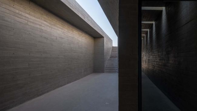 BIM建筑|天鹅湖湿地公园景不雅廊及不雅鸟塔 / 迹·建筑事务所 BIM建筑|天鹅湖湿地公园景不雅廊及不雅鸟塔 / 迹·建筑事务所