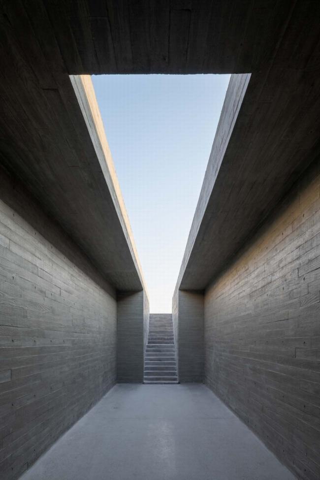 BIM建筑|天鹅湖湿地公园景不雅廊及不雅鸟塔 / 迹·建筑事务所 BIM建筑|天鹅湖湿地公园景不雅廊及不雅鸟塔 / 迹·建筑事务所