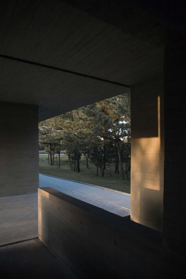BIM建筑|天鹅湖湿地公园景不雅廊及不雅鸟塔 / 迹·建筑事务所 BIM建筑|天鹅湖湿地公园景不雅廊及不雅鸟塔 / 迹·建筑事务所