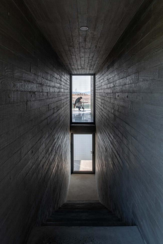 BIM建筑|天鹅湖湿地公园景不雅廊及不雅鸟塔 / 迹·建筑事务所 BIM建筑|天鹅湖湿地公园景不雅廊及不雅鸟塔 / 迹·建筑事务所