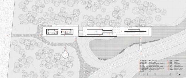 BIM建筑|天鹅湖湿地公园景不雅廊及不雅鸟塔 / 迹·建筑事务所 BIM建筑|天鹅湖湿地公园景不雅廊及不雅鸟塔 / 迹·建筑事务所