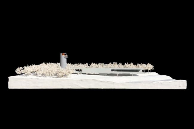 BIM建筑|天鹅湖湿地公园景不雅廊及不雅鸟塔 / 迹·建筑事务所 BIM建筑|天鹅湖湿地公园景不雅廊及不雅鸟塔 / 迹·建筑事务所