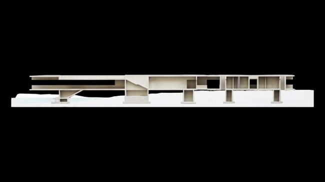BIM建筑|天鹅湖湿地公园景不雅廊及不雅鸟塔 / 迹·建筑事务所 BIM建筑|天鹅湖湿地公园景不雅廊及不雅鸟塔 / 迹·建筑事务所