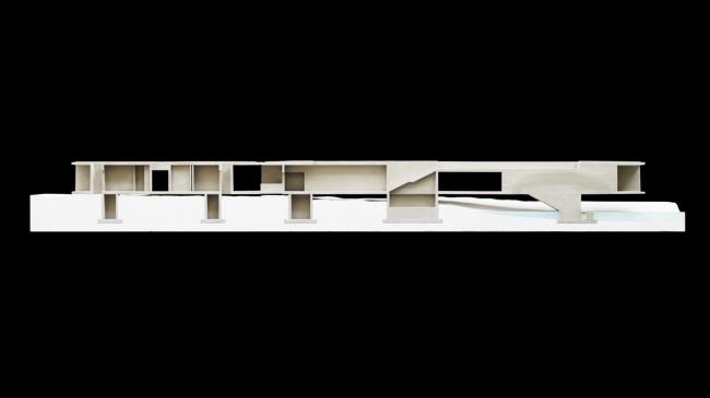BIM建筑|天鹅湖湿地公园景不雅廊及不雅鸟塔 / 迹·建筑事务所 BIM建筑|天鹅湖湿地公园景不雅廊及不雅鸟塔 / 迹·建筑事务所