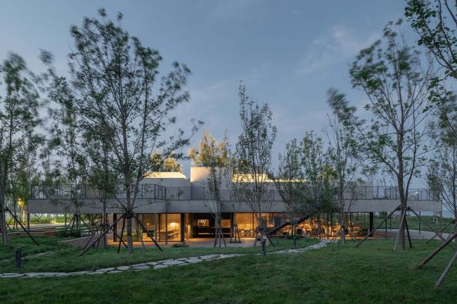 BIM建筑|海边 y 餐厅 / 直向建筑 BIM建筑|海边 y 餐厅 / 直向建筑