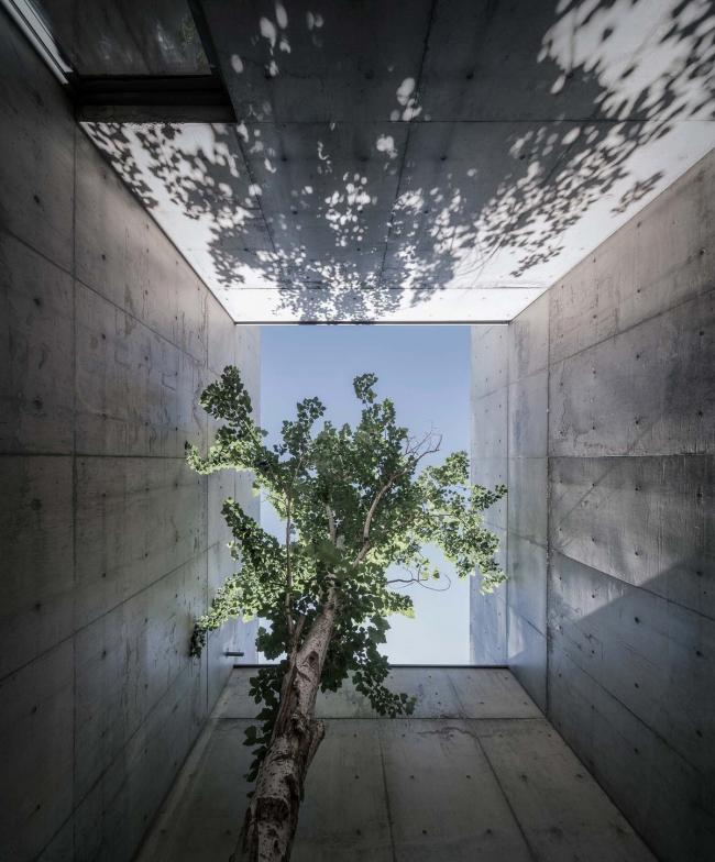 BIM建筑|海边 y 餐厅 / 直向建筑 BIM建筑|海边 y 餐厅 / 直向建筑