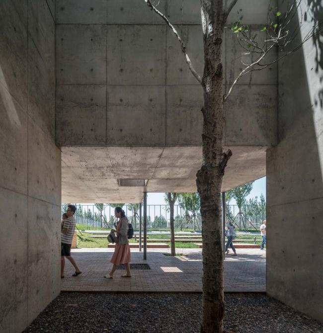 BIM建筑|海边 y 餐厅 / 直向建筑 BIM建筑|海边 y 餐厅 / 直向建筑