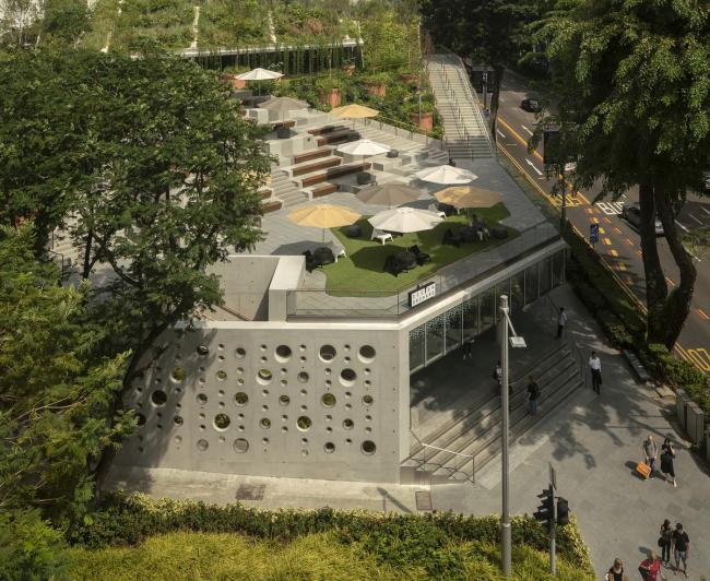 BIM建筑|郁郁葱葱的城市花圃:Design Orchard 孵化器 / WOHA BIM建筑|郁郁葱葱的城市花圃:Design Orchard 孵化器 / WOHA
