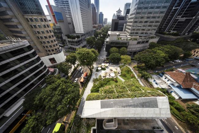 BIM建筑|郁郁葱葱的城市花圃:Design Orchard 孵化器 / WOHA BIM建筑|郁郁葱葱的城市花圃:Design Orchard 孵化器 / WOHA