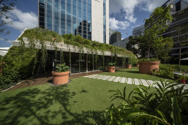 BIM建筑|郁郁葱葱的城市花圃:Design Orchard 孵化器 / WOHA BIM建筑|郁郁葱葱的城市花圃:Design Orchard 孵化器 / WOHA
