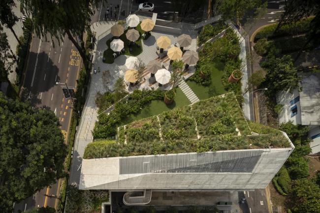 BIM建筑|郁郁葱葱的城市花圃:Design Orchard 孵化器 / WOHA BIM建筑|郁郁葱葱的城市花圃:Design Orchard 孵化器 / WOHA