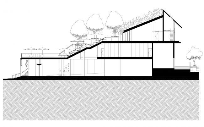 BIM建筑|郁郁葱葱的城市花圃:Design Orchard 孵化器 / WOHA BIM建筑|郁郁葱葱的城市花圃:Design Orchard 孵化器 / WOHA