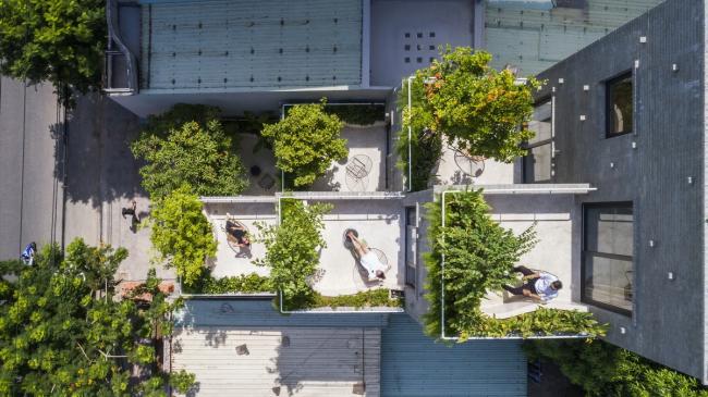 BIM建筑|安静葱茏,错落有致的梯田天台:越南花圃公寓 / Ho Khue Architects BIM建筑|安静葱茏,错落有致的梯田天台:越南花圃公寓 / Ho Khue Architects