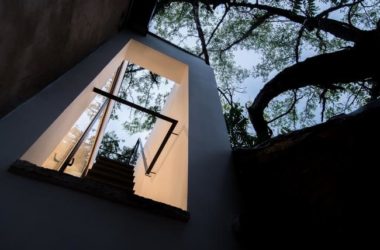 BIM建筑|樹院 / 兼建筑-BIM建筑网