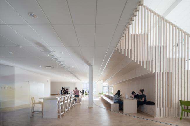 BIM建筑|保存场合记忆——Tiunda 中小黉舍 / C.F. Møller BIM建筑|保存场合记忆——Tiunda 中小黉舍 / C.F. Møller