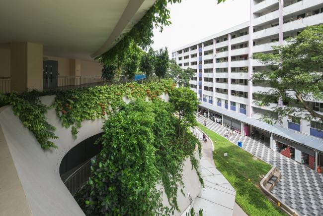 BIM建筑|“丛林”里的公共社区:勿洛心动年夜厦 / ONG&ONG BIM建筑|“丛林”里的公共社区:勿洛心动年夜厦 / ONG&ONG