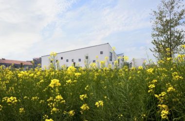 BIM建筑|江苏硕集幼儿园——留守村落的盼望 / Crossboundaries, 北京-BIM建筑网