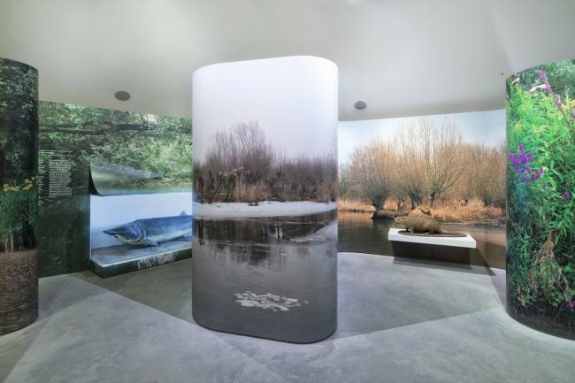 BIM建筑|湿地景不雅里的年夜地艺术雕塑:荷兰 Biesbosch 博物馆岛 / Studio Marco Vermeulen BIM建筑|湿地景不雅里的年夜地艺术雕塑:荷兰 Biesbosch 博物馆岛 / Studio Marco Vermeulen