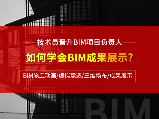 Navisworks项目实际应用专题培训,模拟施工漫游动画渲染,管线综合碰撞检测
