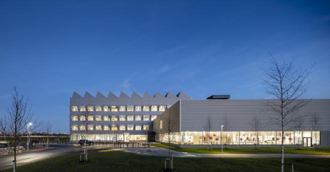 BIM建筑|宜家 HUBHULT 总部 / Dorte Mandrup A/S BIM视界 第6张-BIM建筑网 BIM建筑|宜家 HUBHULT 总部 / Dorte Mandrup A/S BIM视界 第6张