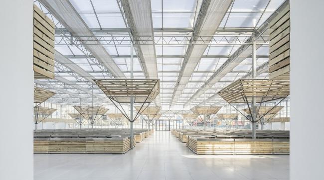 BIM建筑|成功市场姑且安顿点 / 罗宇杰工作室 建筑鉴赏 第25张-BIM建筑网 BIM建筑|成功市场姑且安顿点 / 罗宇杰工作室 建筑鉴赏 第25张