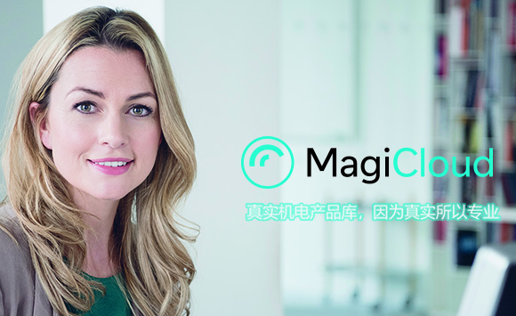 BIM插件|MagiCloud For Revit(族库插件)下载