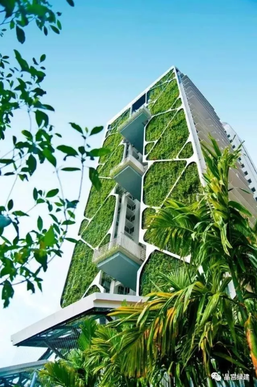 装配式研究|装配式建筑能否成为绿色建筑的引航者? 装配式研究|装配式建筑能否成为绿色建筑的引航者?